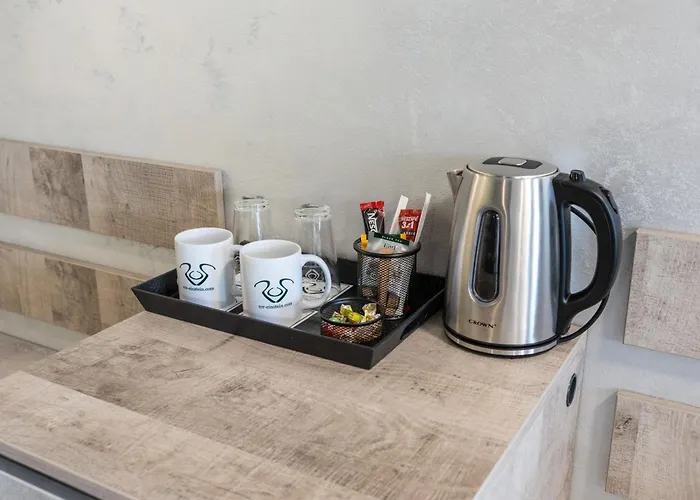 Rcr Einstein 2 3* ソフィア