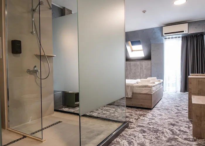 Rcr Einstein 2 3* ソフィア