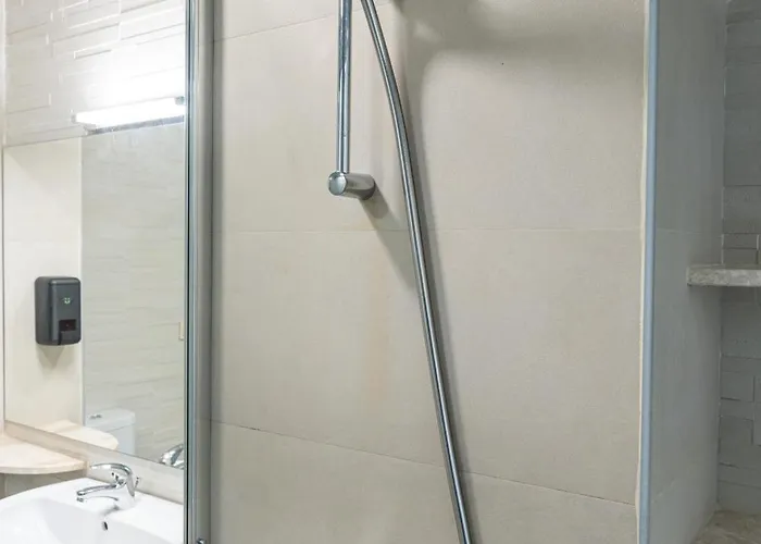 Rcr Einstein 2 ソフィア