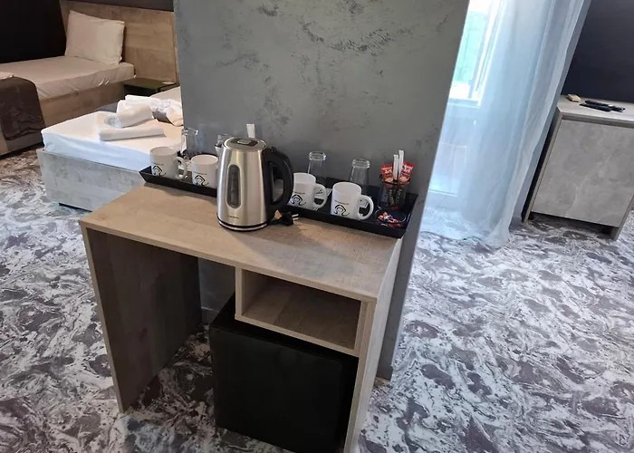 Rcr Einstein 2 Sofie